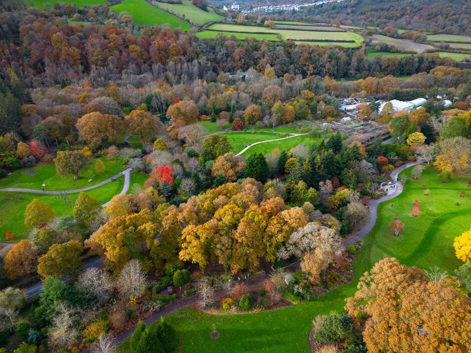 Aerial view of winding road through autumn trees and green fields in rural countryside landscape during fall season.