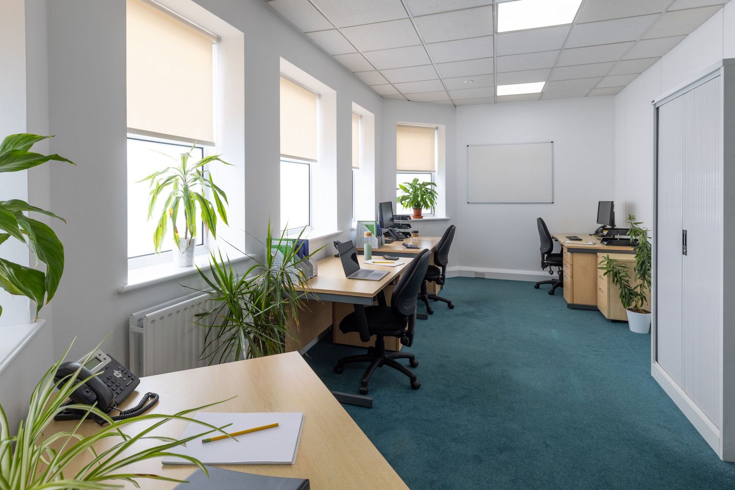 Modern office interior with collaborative workspace, ergonomic furniture, natural light and biophilic design elements.