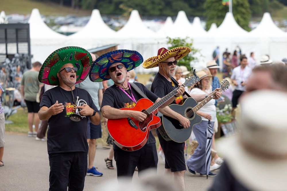 Participants in a line dance formation with hands raised to dance a choreographed routine at outdoor event.