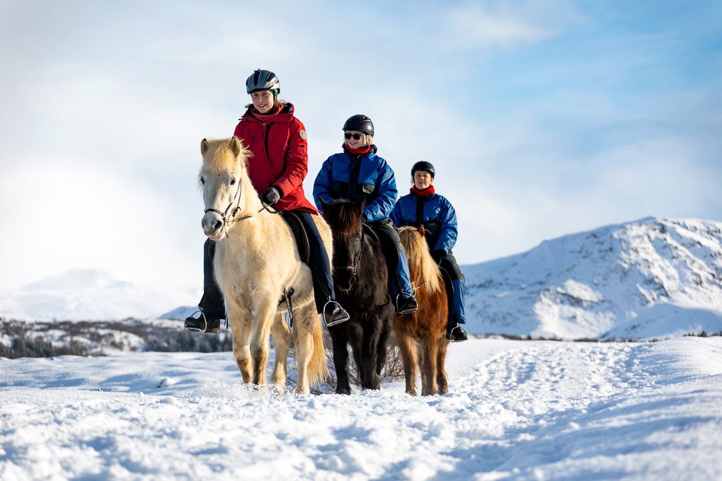 Excursion photography of a group of riders on Icelandic horseback traversing a snowy mountain trail with snow-capped peaks.