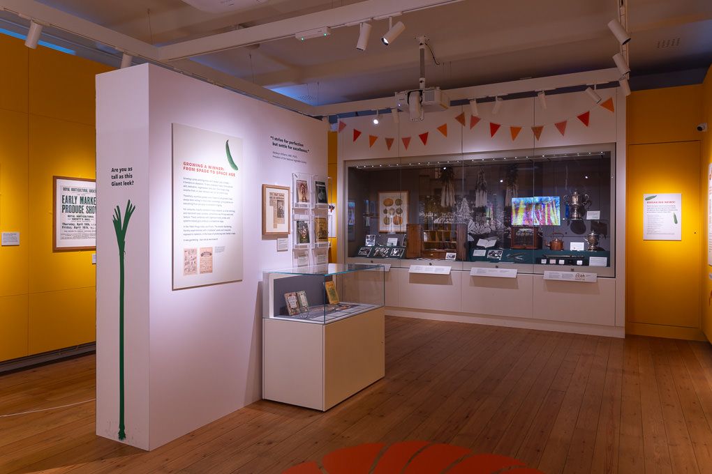 Art gallery interior with orange walls displaying framed artwork and installations in a panoramic view.