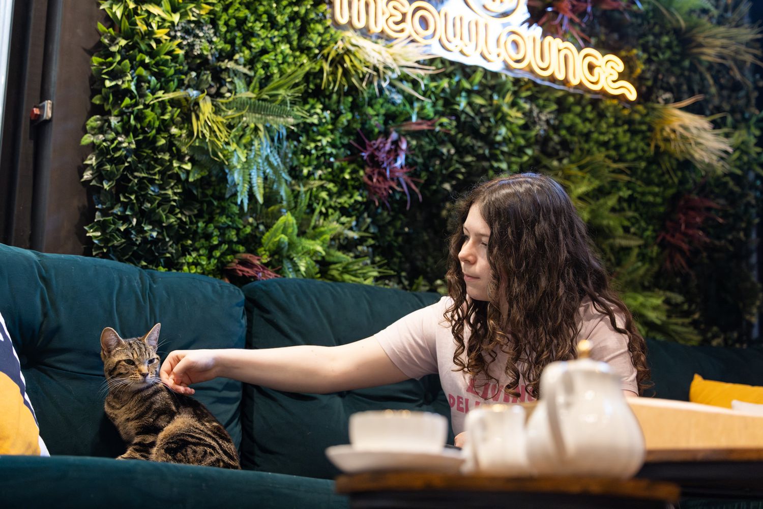 Cat Cafe: A person pets a tabby cat while relaxing on a green couch in a cosy cafe setting with lush plant decor.
