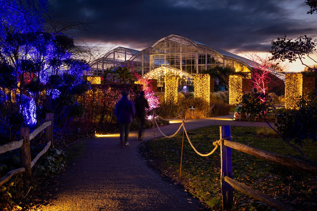 Light-trail photography of an illuminated greenhouse structure and garden paths glows with colourful light against a dark evening sky.
