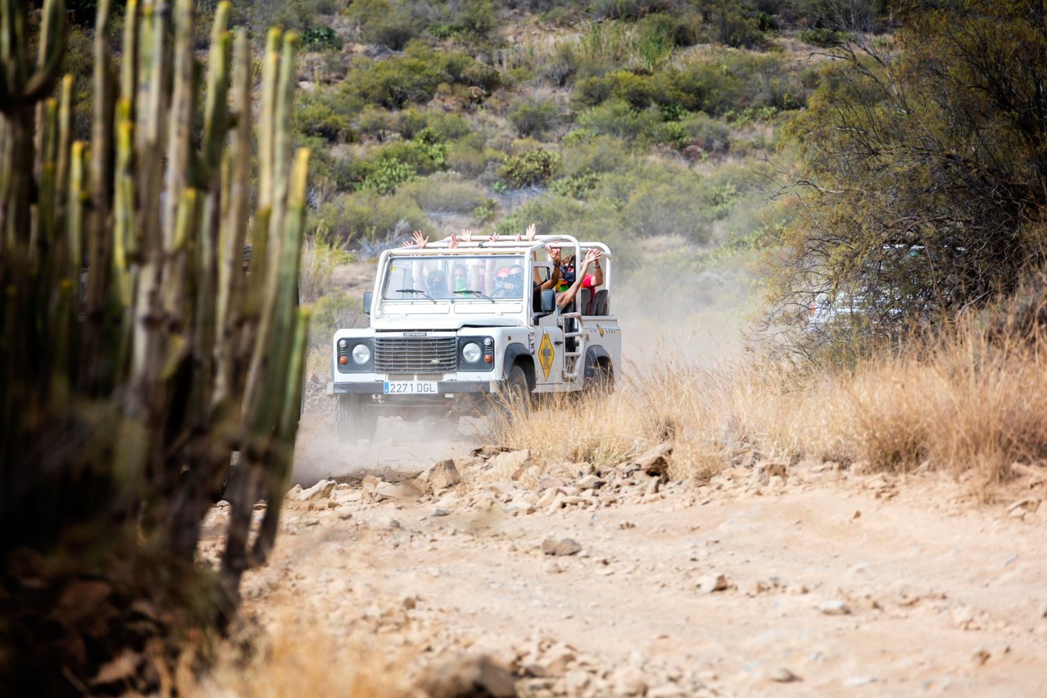 A Land Rover vehicle drives on a dusty desert trail surrounded by tall cactus plants and arid terrain.