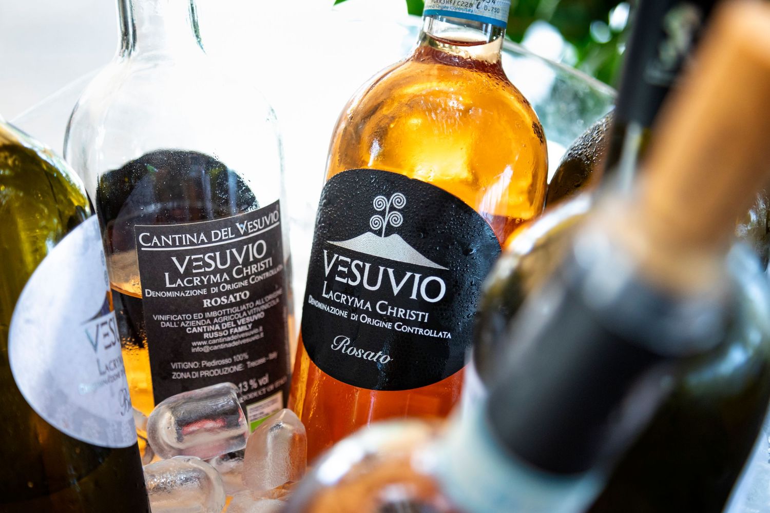 Bottles of Vesuvio Lacryma Christi rosato wine with black labels from Cantina del Vesuvio, chilling together in an ice bucket.