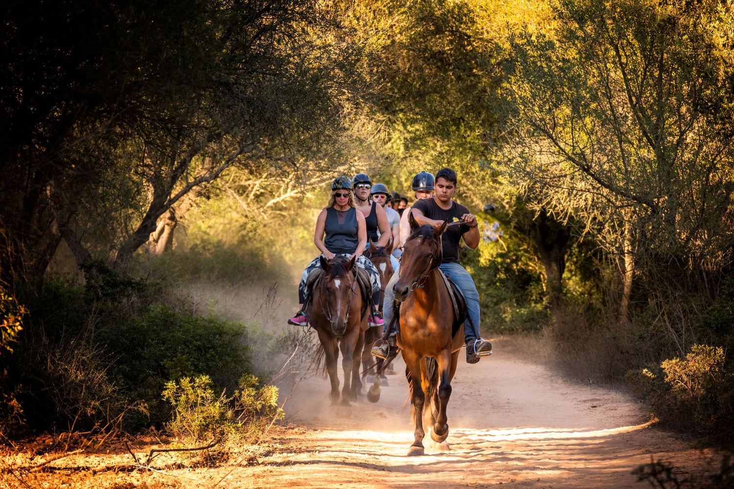 Group of riders on horseback trekking along a dusty dirt trail through sunlit woodland during a guided horse riding excursion.