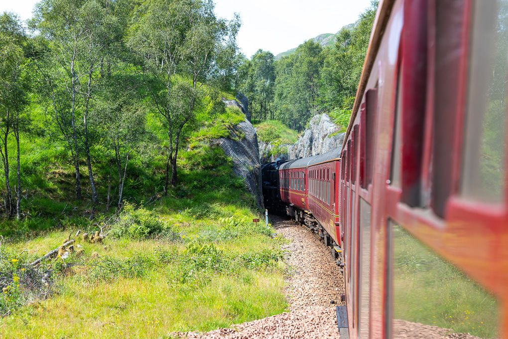 A scenic view from the window of the Jacobite Express steam train, showing lush green forest and vegetation along the tracks.