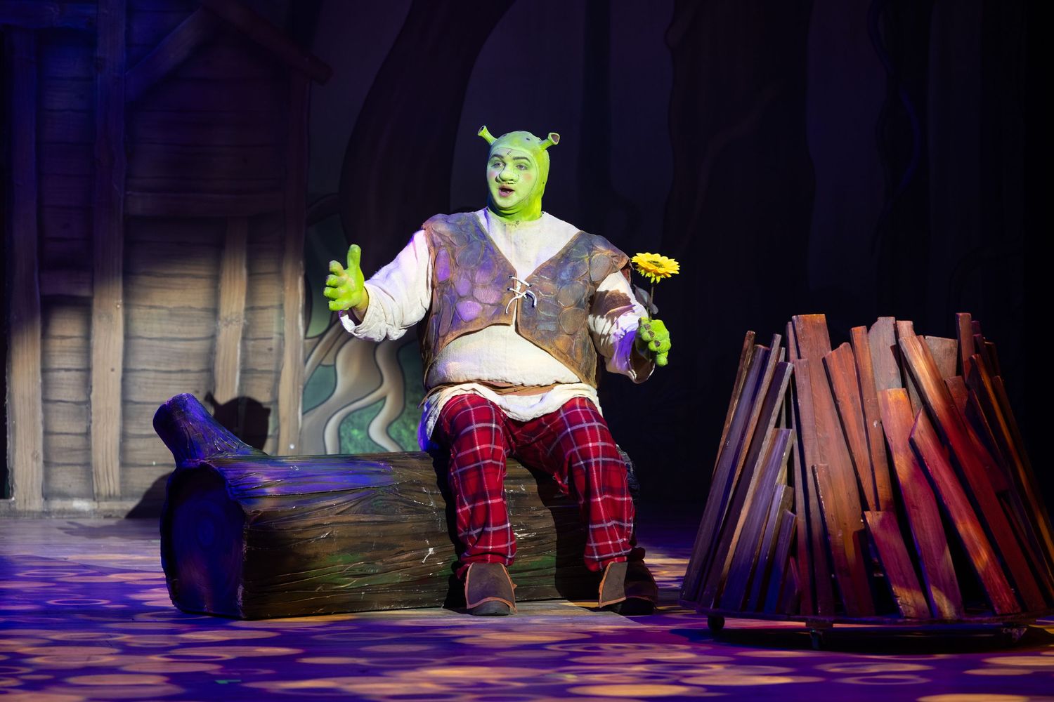 Actor as Shrek with green makeup and ogre ears performs on stage during Shrek The Musical at Castle Theatre Wellingborough