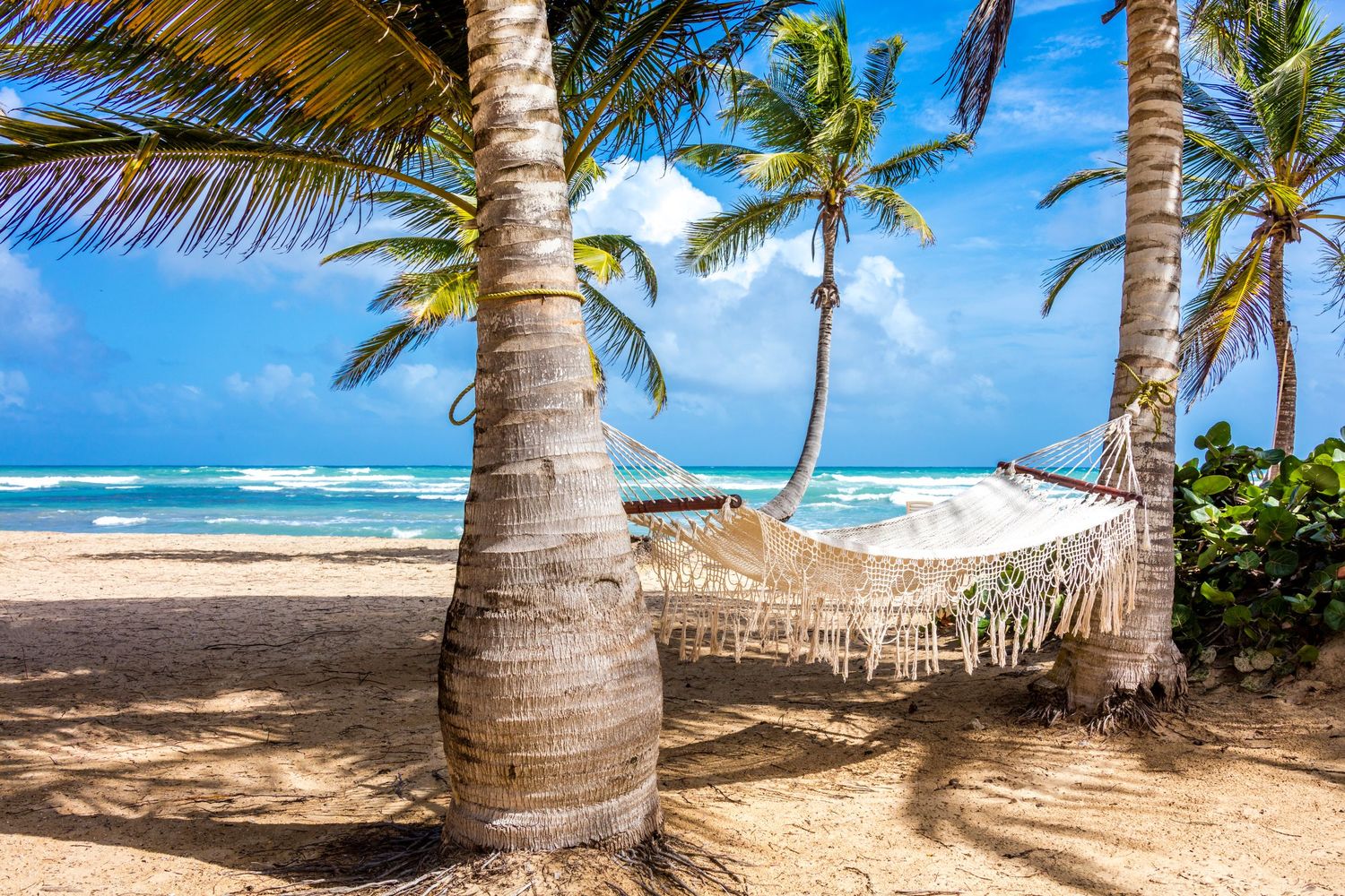A relaxing hammock strung between tropical palm trees on a pristine sandy beach with turquoise ocean waves in the background.