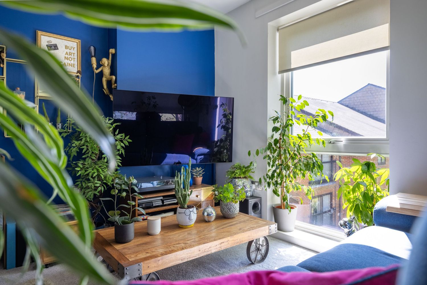 Cozy living room with wall-mounted TV, wooden coffee table, lush green plants, blue accent wall, and bright natural window light.