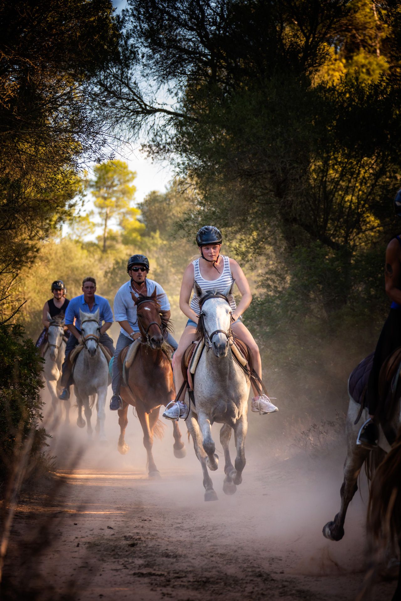 A group of people riding horses on a dusty trail through a sunlit wooded area during a trail ride.