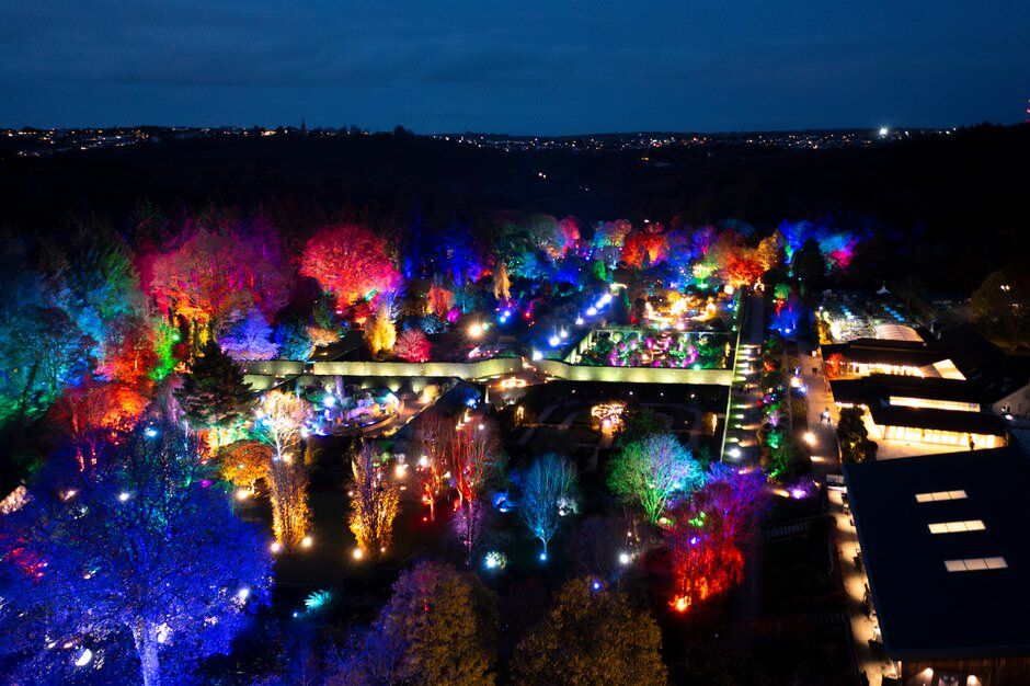 Colorful nighttime illumination display transforms a garden landscape into a magical wonderland of lights and reflections.