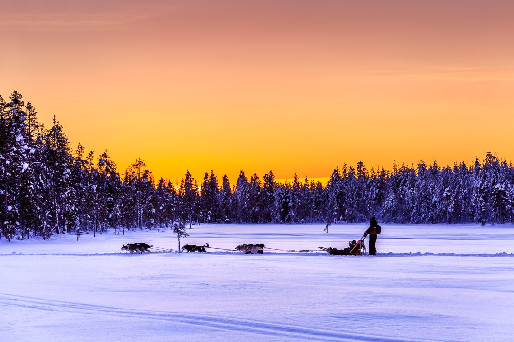 A snowy winter landscape with dog sleds racing across a frozen lake during a vibrant orange sunset in Lapland, Finland.