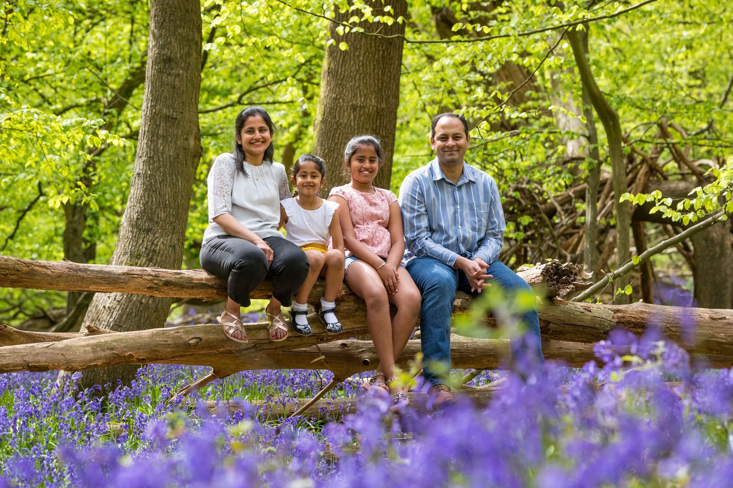 Family of four sitting on a log fence surrounded by bluebells in a lush green woodland setting.