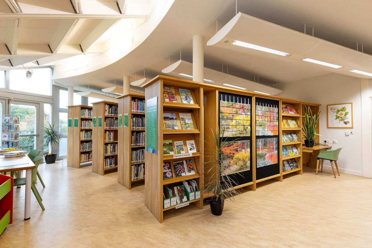 Modern library interior with bespoke bookshelves, natural light and contemporary residential design.