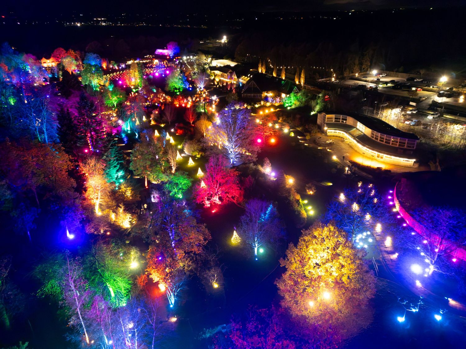 Aerial drone photograph of a garden light trail featuring colourful illuminated trees and outdoor light installations at night.