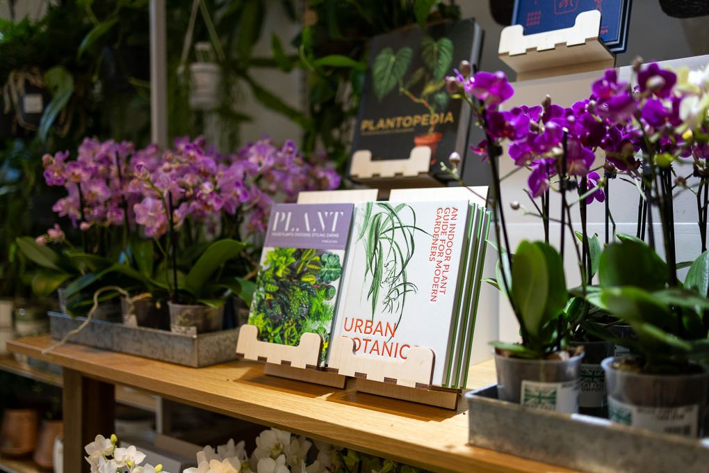 Lifestyle retail photography of RHS Plant Space at Bluewater showing purple orchid plants displayed on wooden shelves.