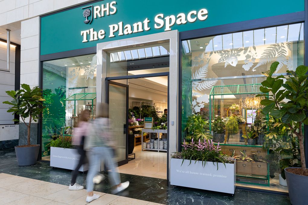 Lifestyle and retail photography of the RHS Plant Space at Bluewater, showing a modern plant store interior.