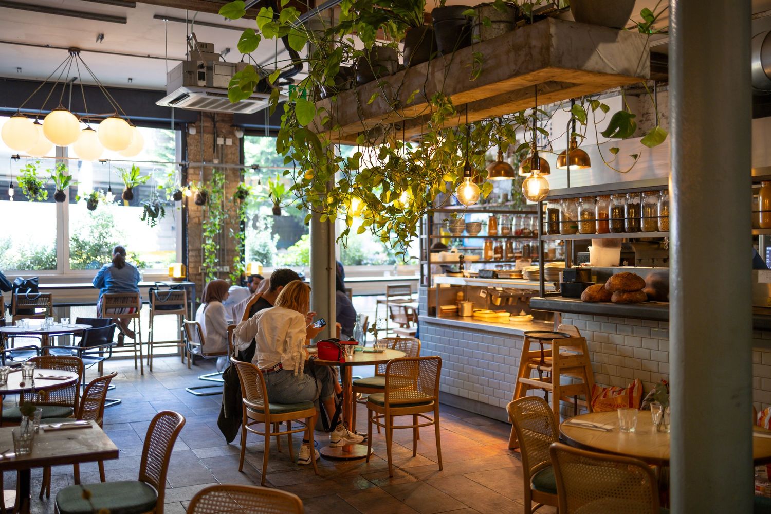 Stylish café interior with hanging plants, warm lighting and contemporary hospitality design.