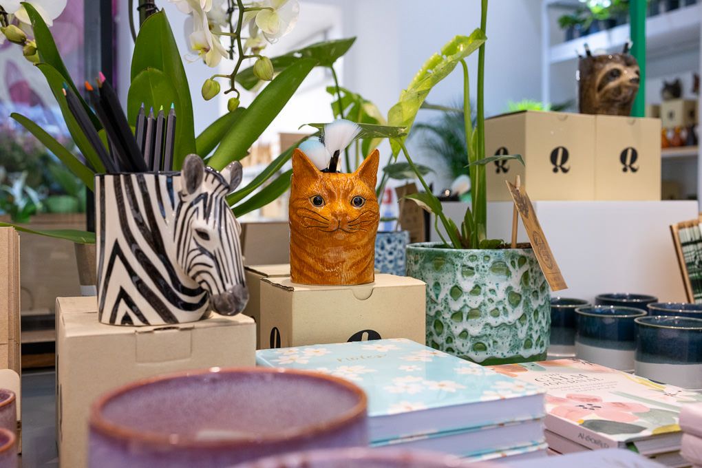 Lifestyle retail photography of RHS Plant Space at Bluewater featuring decorative planters and vases displayed among indoor plants.