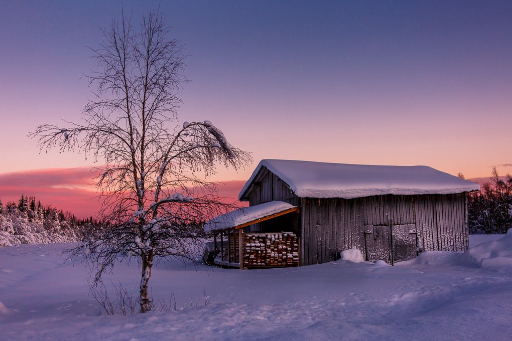 A panoramic winter landscape at sunset shows snow-covered barns and bare trees silhouetted against a purple sky in Lapland.
