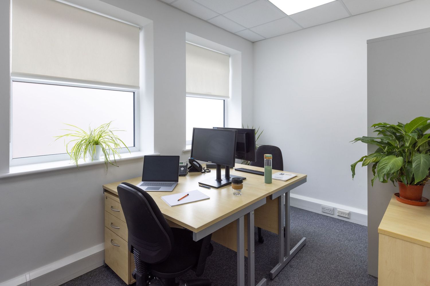 Modern small office with two computer workstations, ergonomic chairs, roller blinds, and green plants on gray carpet.