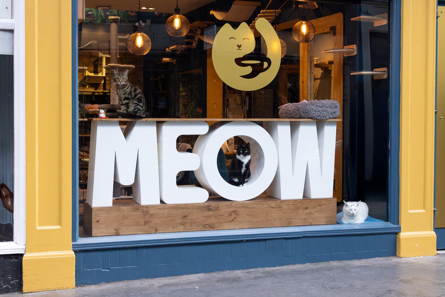 Large white 'MEOW' lettering displayed in a storefront window with yellow trim and pendant lighting.