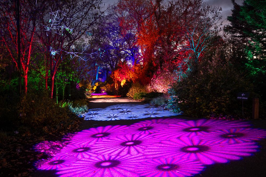 Illuminated winter garden light trail with colourful lights casting purple spider web patterns on snowy ground. Glow at RHS Wisley.