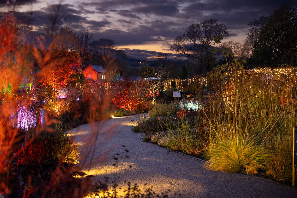 Light trail photography at the Glow event at RHS Harlow Carr in Harrogate.