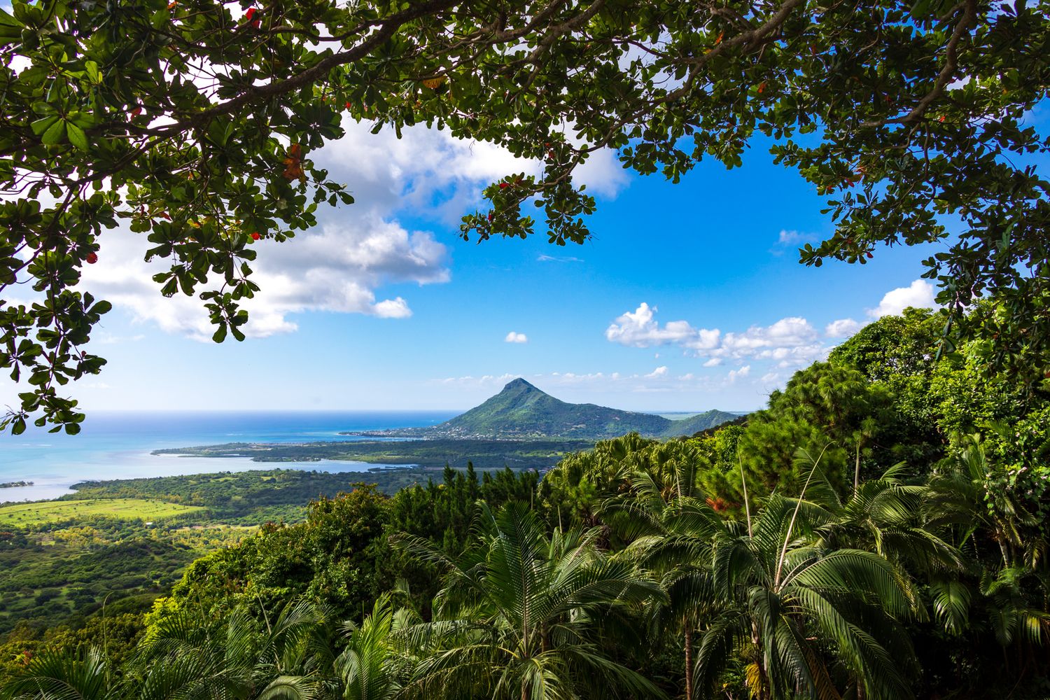Scenic tropical mountain landscape with lush palm trees and coastline view of Mauritius Island on a sunny day.