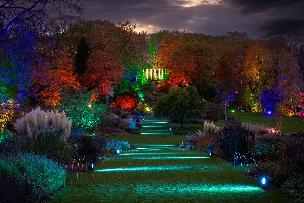 Illuminated light trail path at RHS Harlow Carr. Colourful lights and trees create a magical nighttime landscape in the garden.