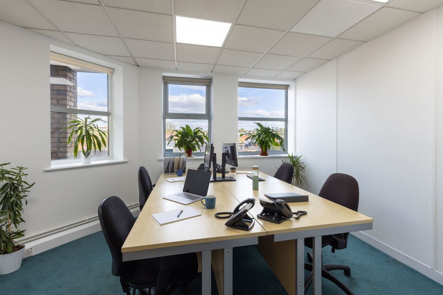 Modern office space with wooden desks, black chairs, computers, and green plants near bright windows.