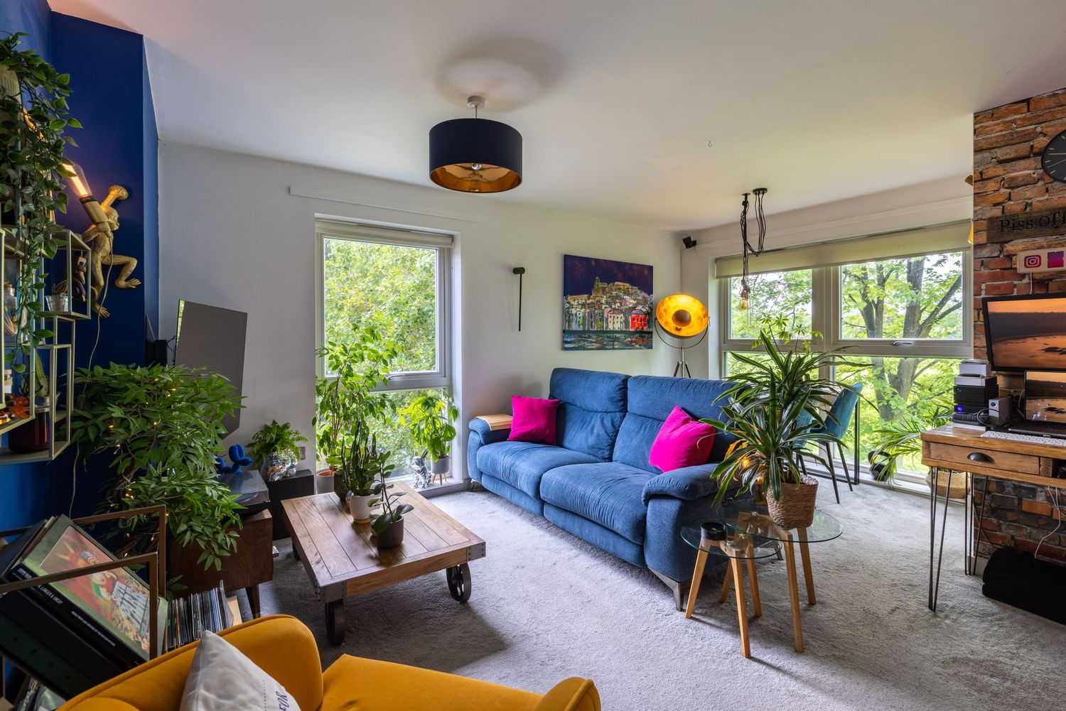 Bright living room with colourful furnishings, houseplants and natural light showcasing modern interior design.
