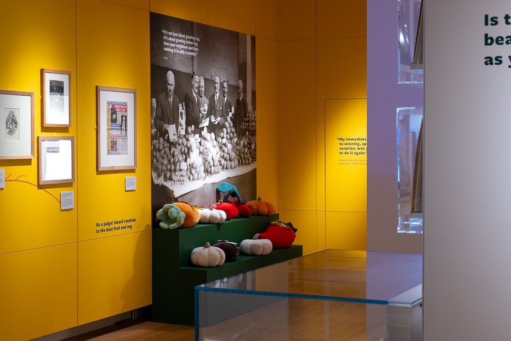 Art gallery exhibition space with yellow walls displaying framed photographs and decorative pumpkins on pedestals at RHS Wisley.