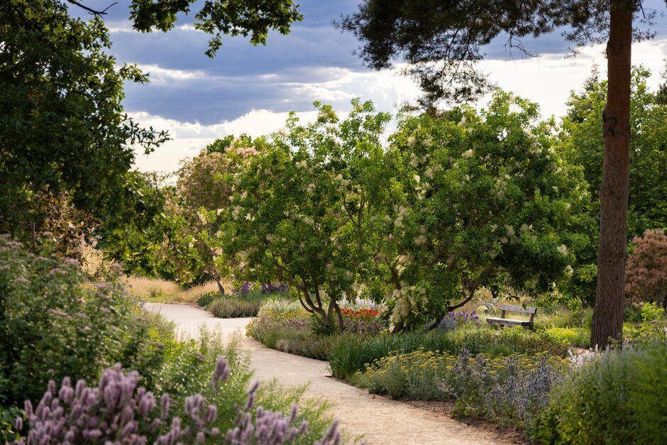 A scenic pathway winds through a lush garden with blooming flowers and trees under a blue summer sky.