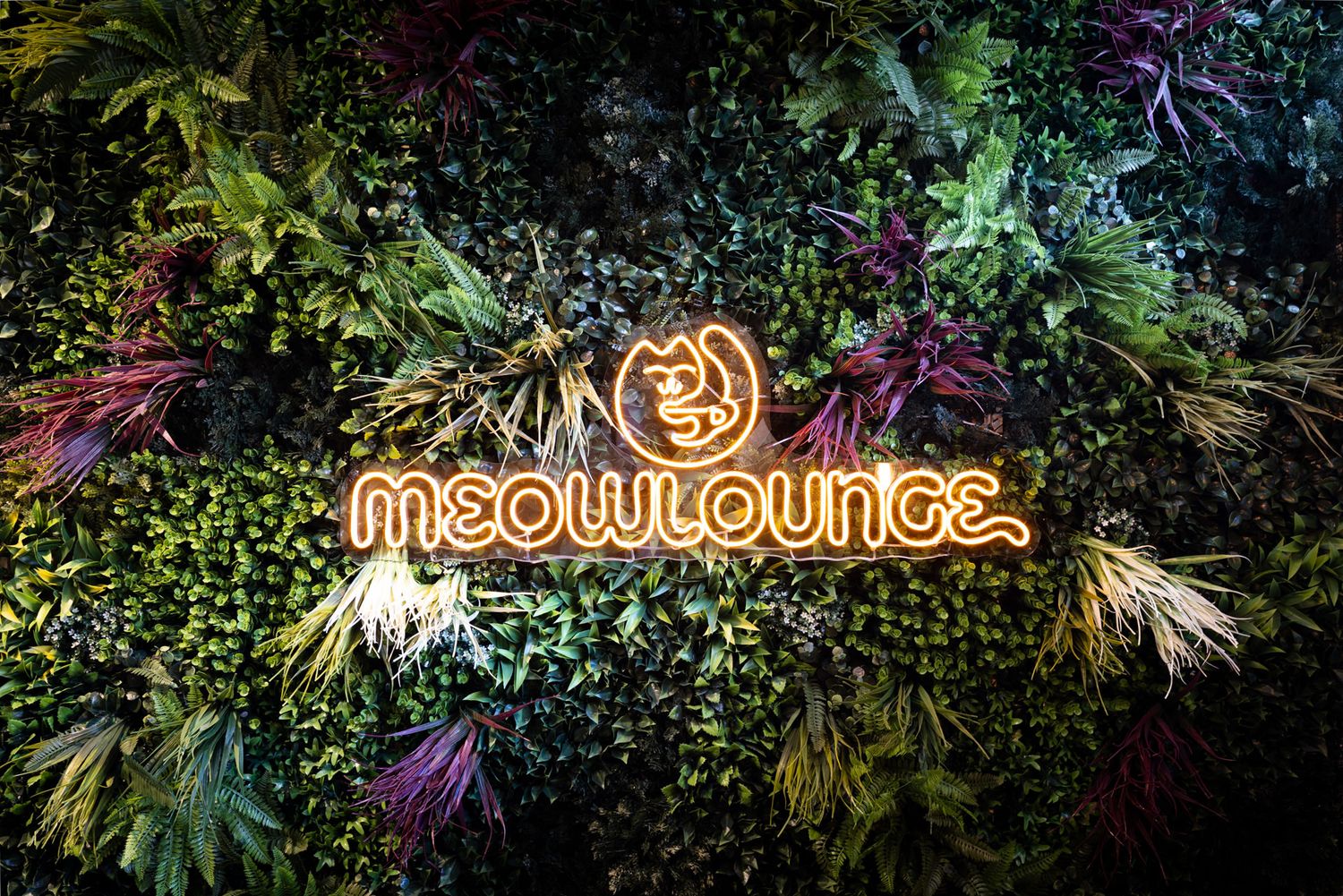 A decorative neon sign for Meow Lounge mounted on a wooden wall surrounded by lush greenery and tropical foliage creates ambient lighting.