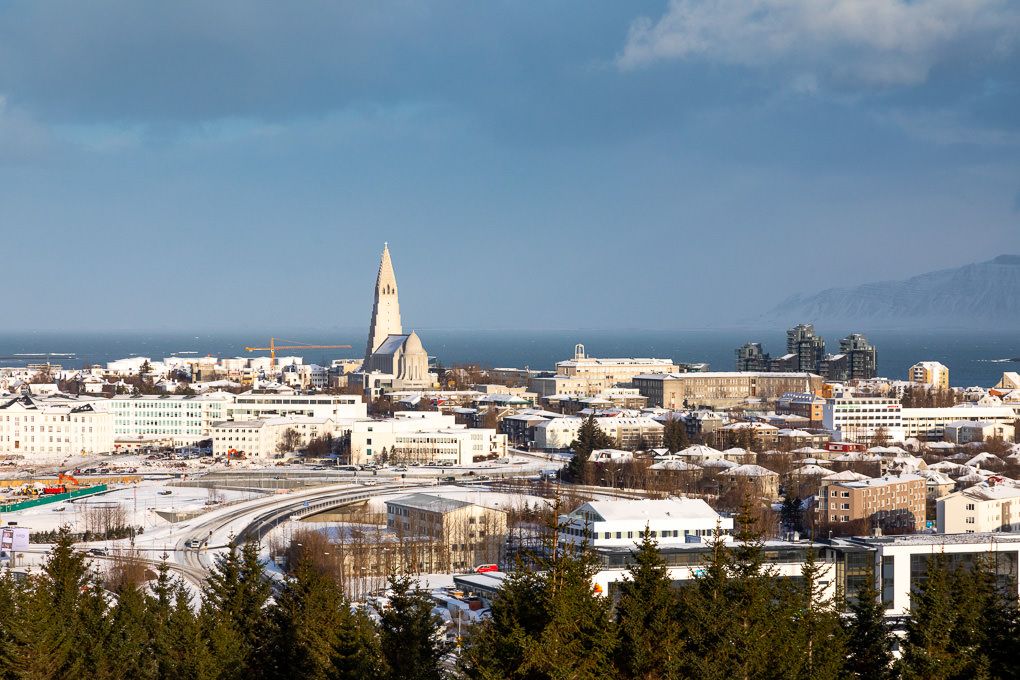 A view of Reykjavik cityscape with Hallgrimskirkja church spire rising above white buildings in winter.
