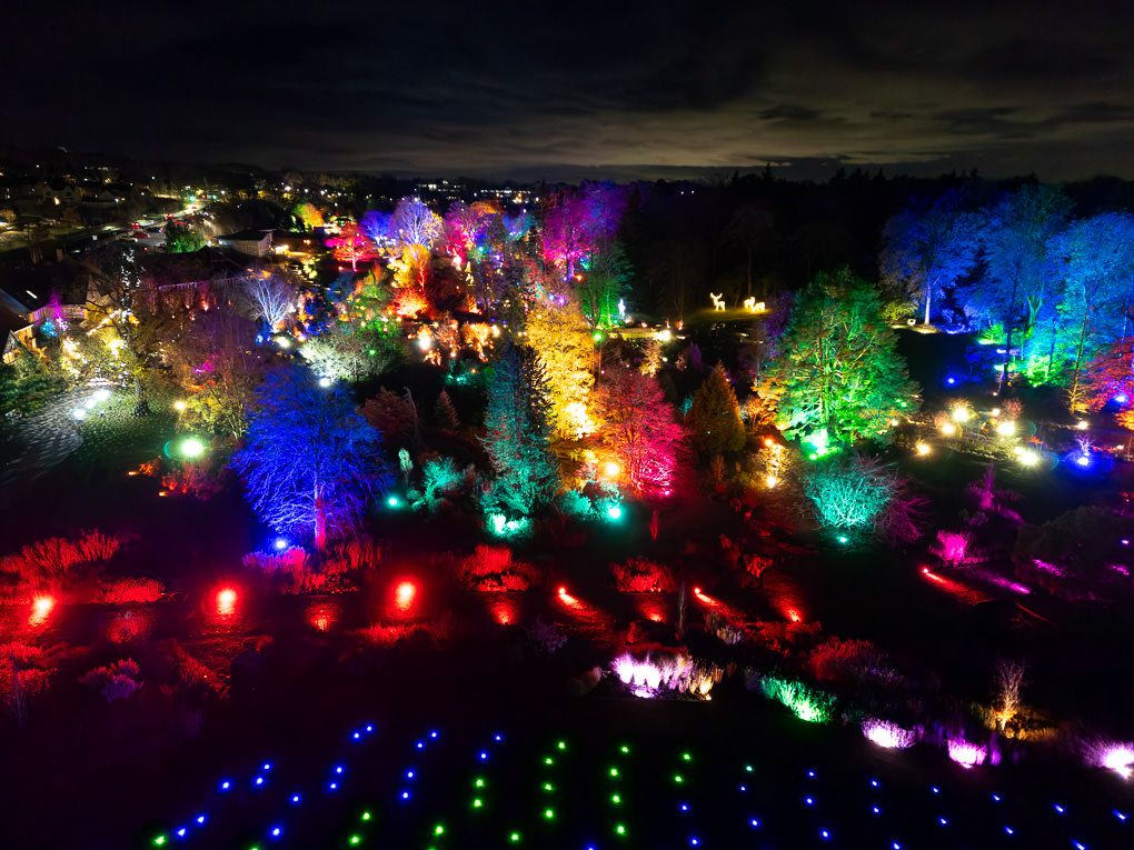 Aerial photography of the Glow light trail at RHS Harlow Carr in Harrogate.