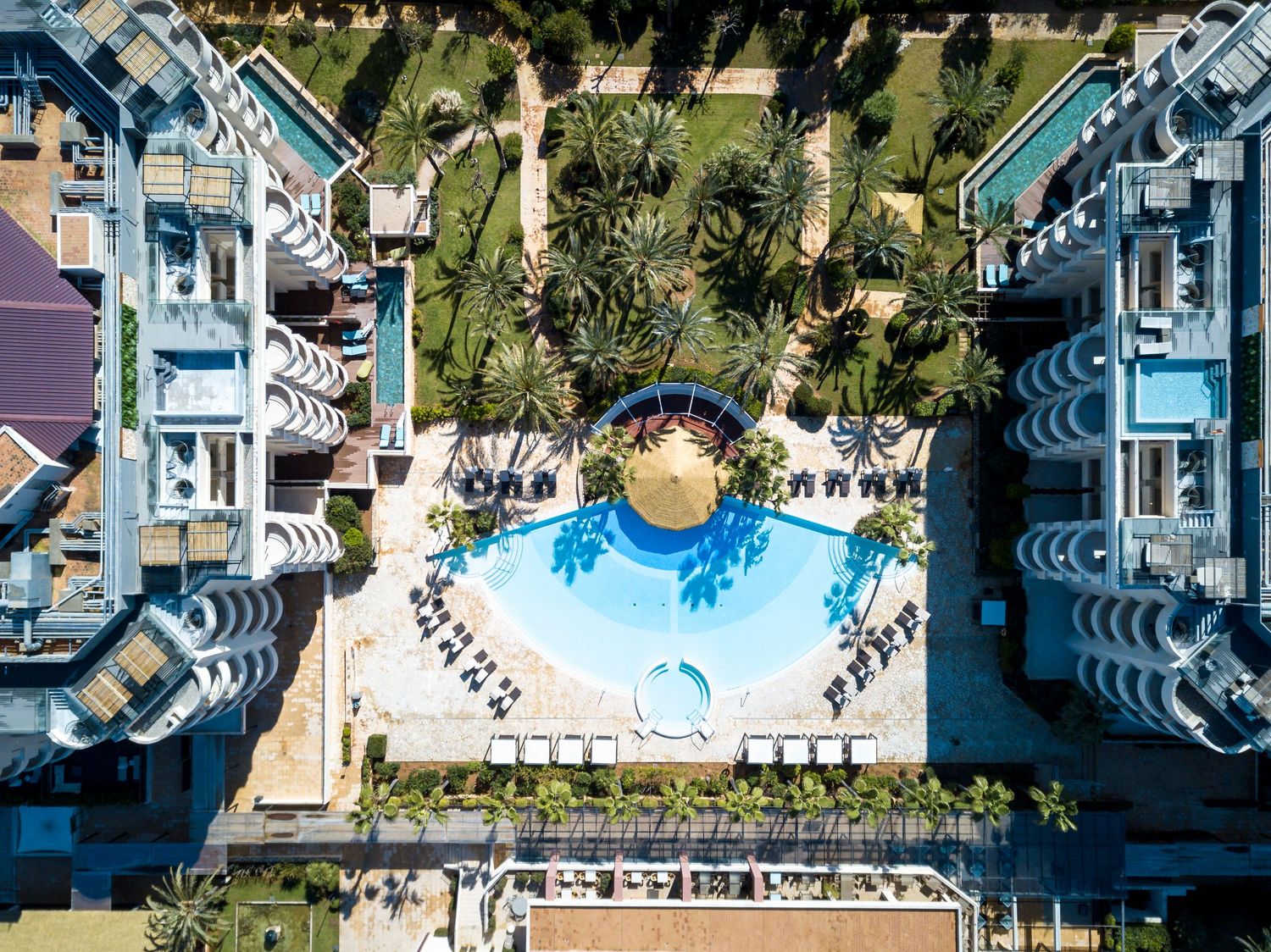 Aerial view of a luxury resort pool surrounded by lounge chairs, lush palm trees, and elegant hotel buildings.