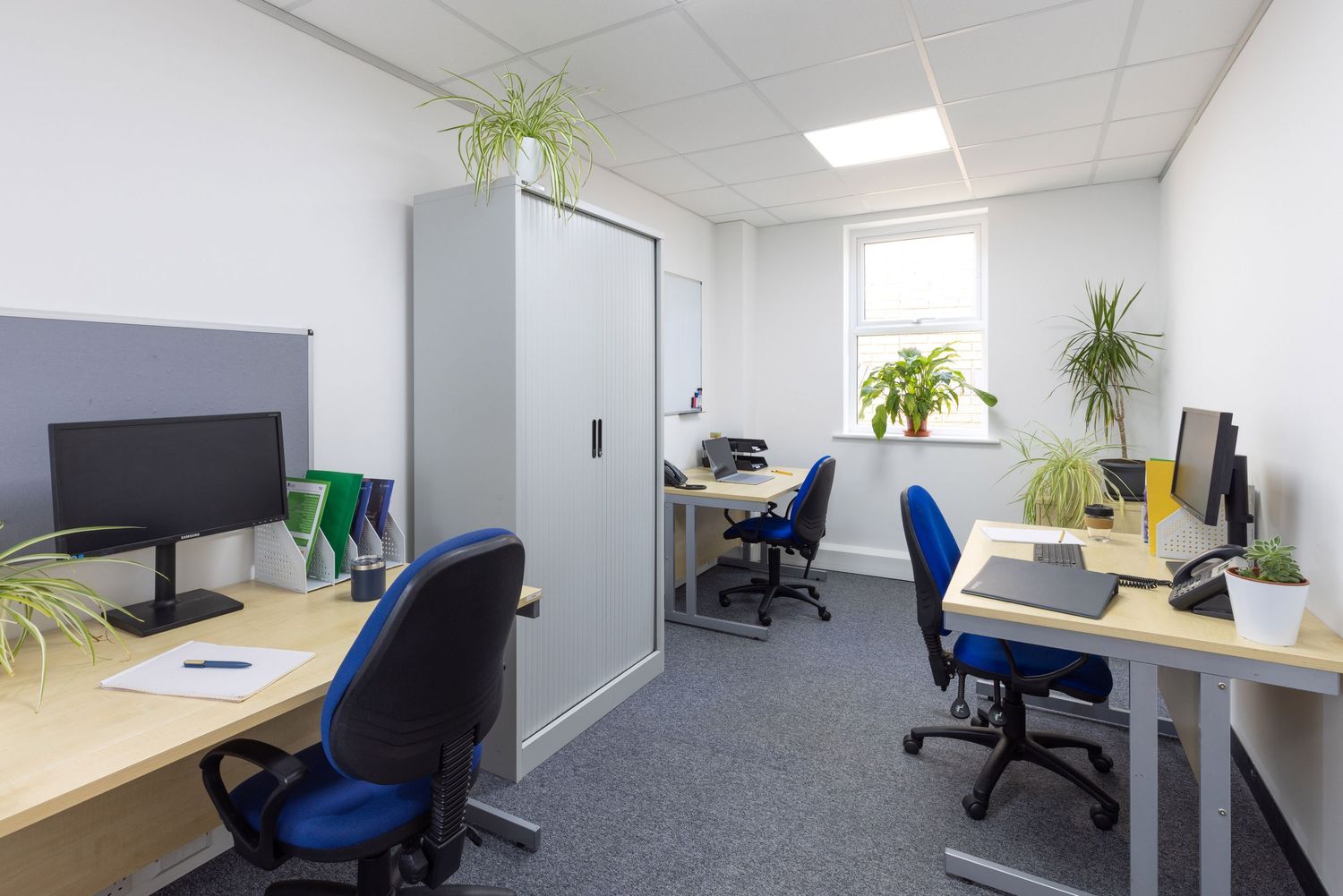 Modern office space with blue chairs, wooden desks, computers, and green plants near a bright window.