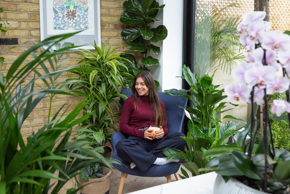 Lifestyle photography of a collection of indoor plants and orchids arranged in a cosy corner with natural light and a brick wall backdrop.