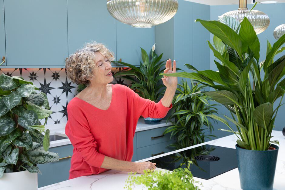 Lifestyle photography of a lady sitting at a desk with lush green plants and a blue wall in a modern London home.