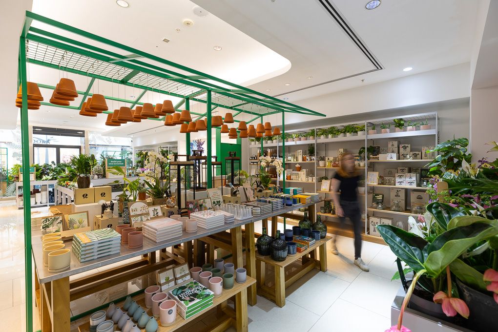 RHS Plant Space at Bluewater retail photography, showing bright modern plant shop interior with white shelving and natural greenery.