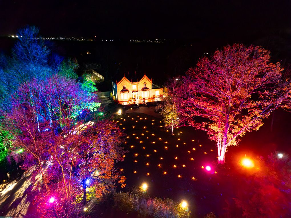 Aerial photography of illuminated trees and pathways creates a magical nighttime garden display with vibrant pink, blue and purple lights.