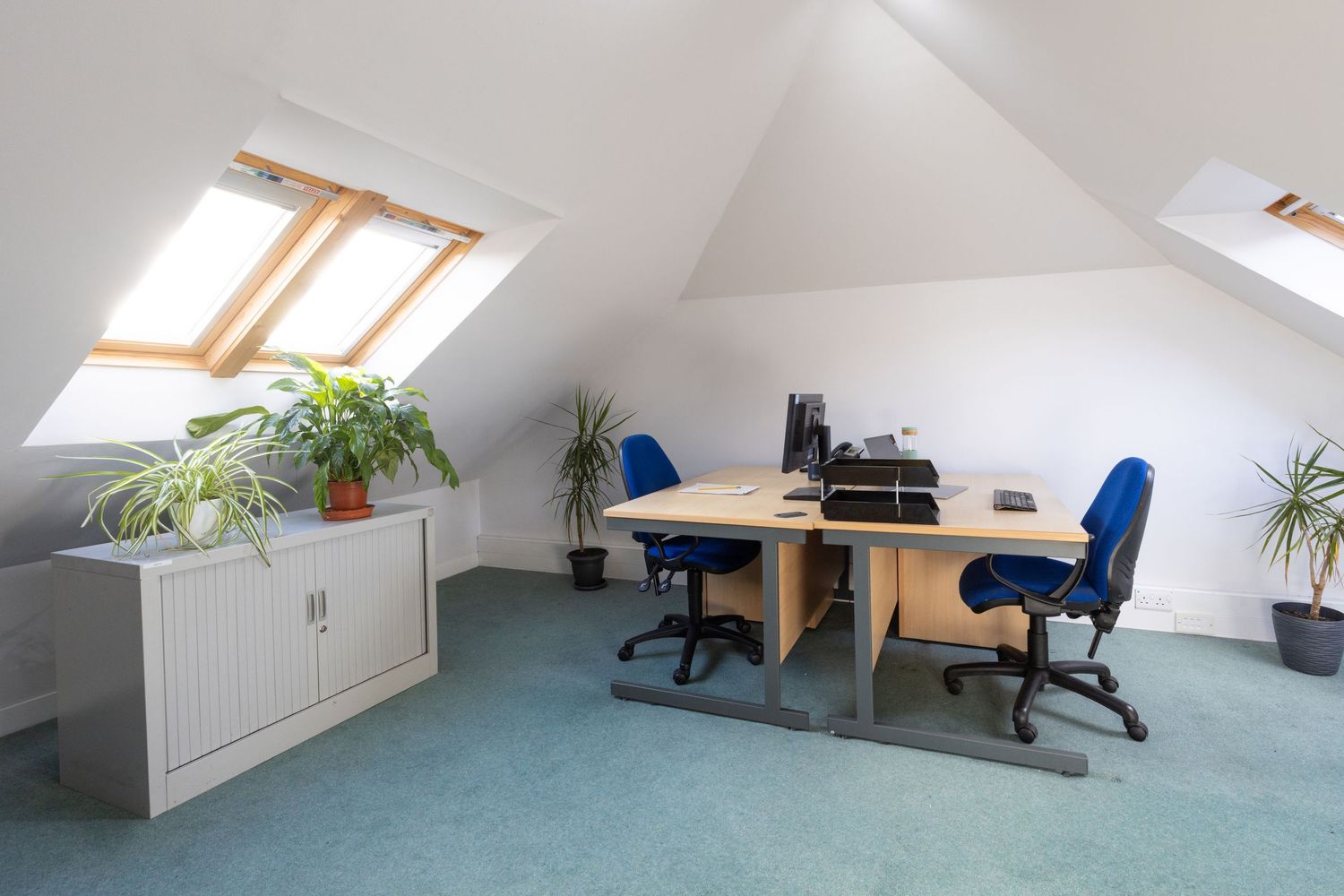 Bright attic office space with skylights, blue carpet, wooden desks, blue chairs, and green plants.