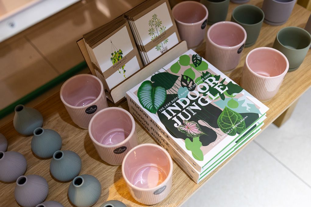Retail photography of RHS Plant Space at Bluewater, showcasing ceramic mugs styled with books and decor in a minimalist retail display.