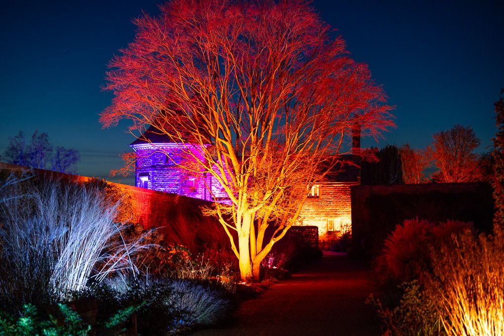Dramatic illuminated trees glowing in vibrant red and orange against the night sky during the Glow event at RHS Bridgewater.
