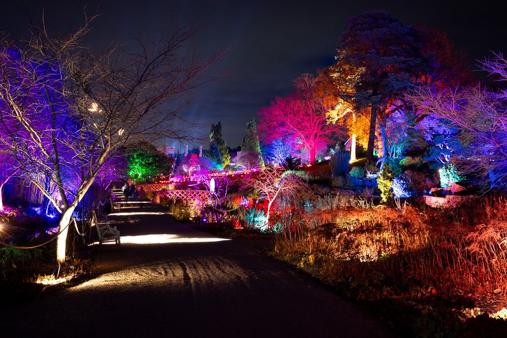 Colourful illuminated trees and glowing pathways at night during Glow at RHS Wisley, captured as part of my light trail photography.