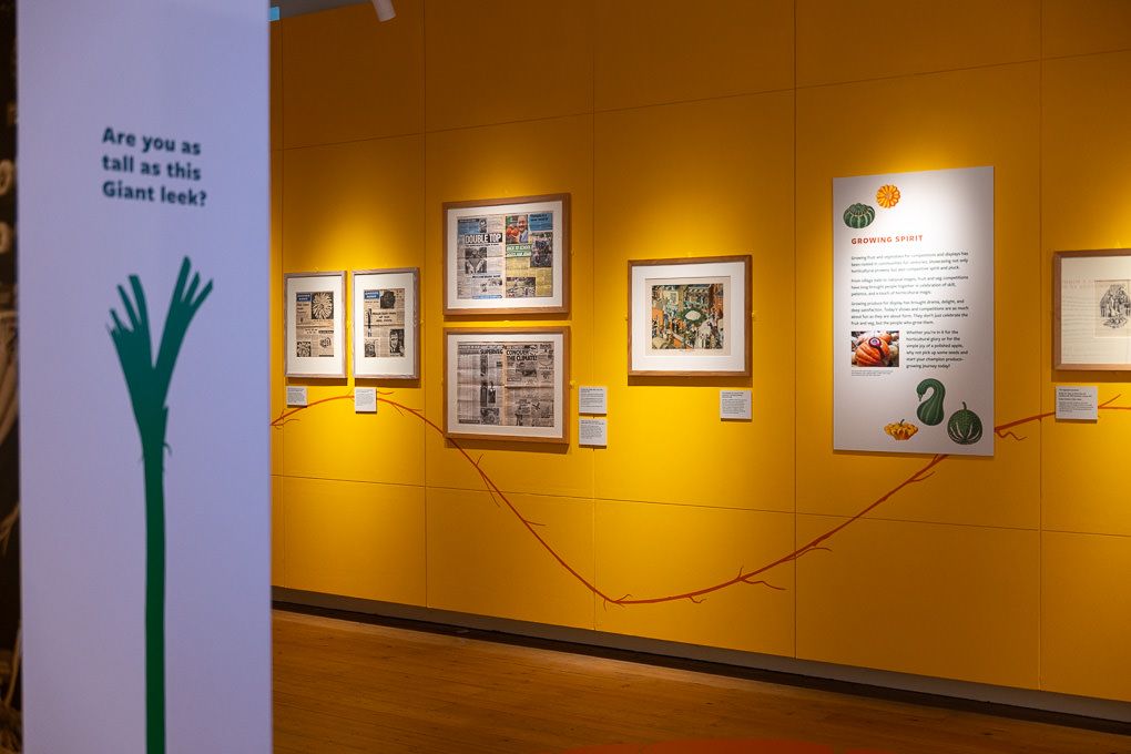 Interior exhibition photography at RHS Wisley with yellow gallery walls, framed artwork and a green hand sculpture on a white wall.
