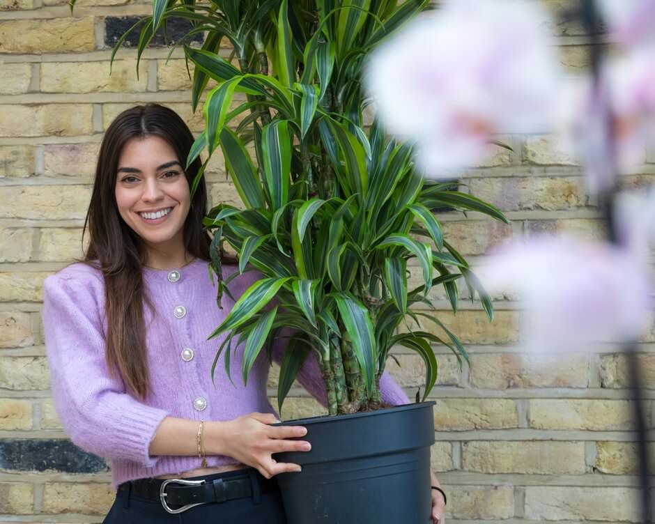 A lifestyle shoot of a lady buying houseplants from an RHS Garden Centre.